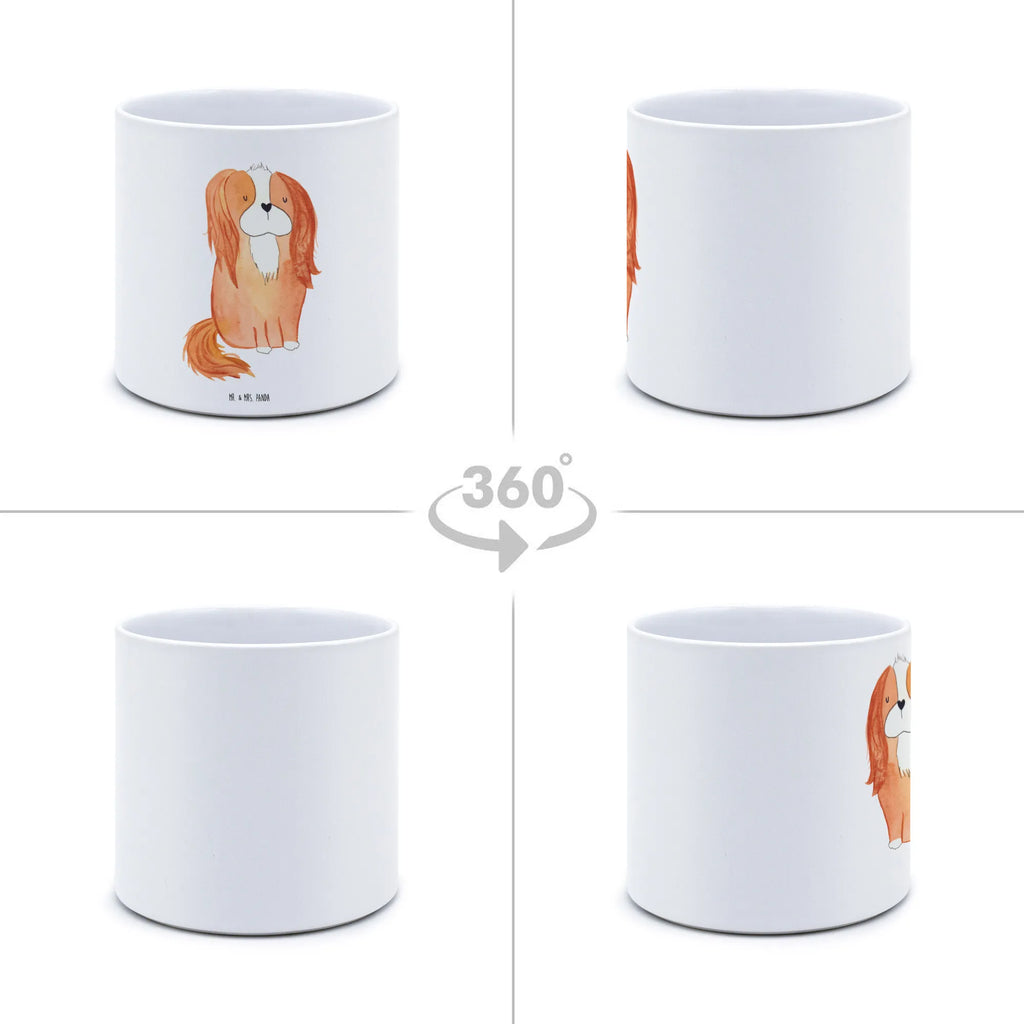 XL flower pot Dog Cavalier King Charles Spaniel dog, mutt, hound, woof, dog mama, dog breed, love dogs, love for dogs, dog decorative items, bag with dog print, funny gifts for dog owners, what do you give a dog lover, Christmas gifts for dogs, gifts for dogs, dog sayings, Sayings, Cavalier King Charles Spaniel, Spaniel, Cocker Spaniel, most beautiful dog, Dog