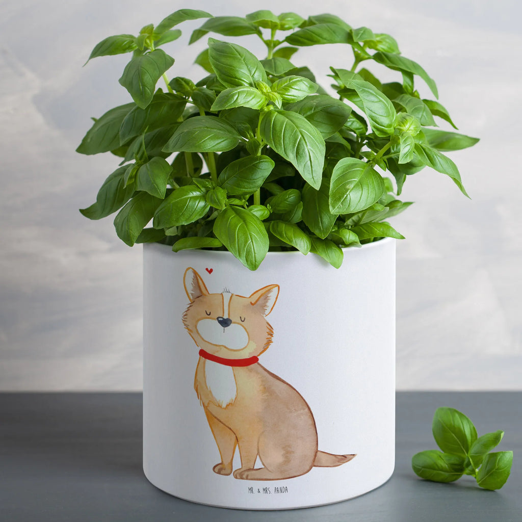 XL flower pot Dog Luck Tiefer Blumentopf, Robuster Blumentopf Groß, Blumentopf Rustikal Groß, Frostsicherer Großer Blumentopf, Hoher Blumentopf, Runder XL Blumentopf, Pflanztopf Groß, Eckiger XL Blumentopf, Blumentopf Design XL, Blumentopf Für Garten Groß, Blumentopf Aus Beton Groß, Wetterfester XL Blumentopf, Blumentopf Aus Ton XXL, Blumentopf Groß Aus Kunststoff, Blumentopf Für Terrasse XL, XL Übertopf Dekorativ, Geschenk Frauen, Großer Blumentopf, Blumentopf Modern Groß, Blumentopf Klassisch Groß, Blumentopf Groß Außenbereich, Pflanztopf Garten Groß, Pflanzkübel Groß, Blumentopf Extra Groß, Übertopf XL, Blumentopf XXL, Blumentopf Aus Keramik XL, Dekotopf Groß, Großer Pflanzbehälter, Pflanzgefäß Terrasse Groß, Pflanzgefäß XL, Blumentopf Für Balkon Groß, Blumentopf Für Wohnzimmer XL, Blumentopf Für Große Pflanzen, Pflanzkübel Für Palmen, Großer Blumentopf Für Innen Und Außen, Blumentopf Groß Innenbereich, XL Blumentopf, Sprüche, Hund, Hunderasse, Hundebesitzer, Hundemotiv, Haustier, Tierliebhaber, Liebe, Corgie, Hundeliebe, Hundemama, Spruch