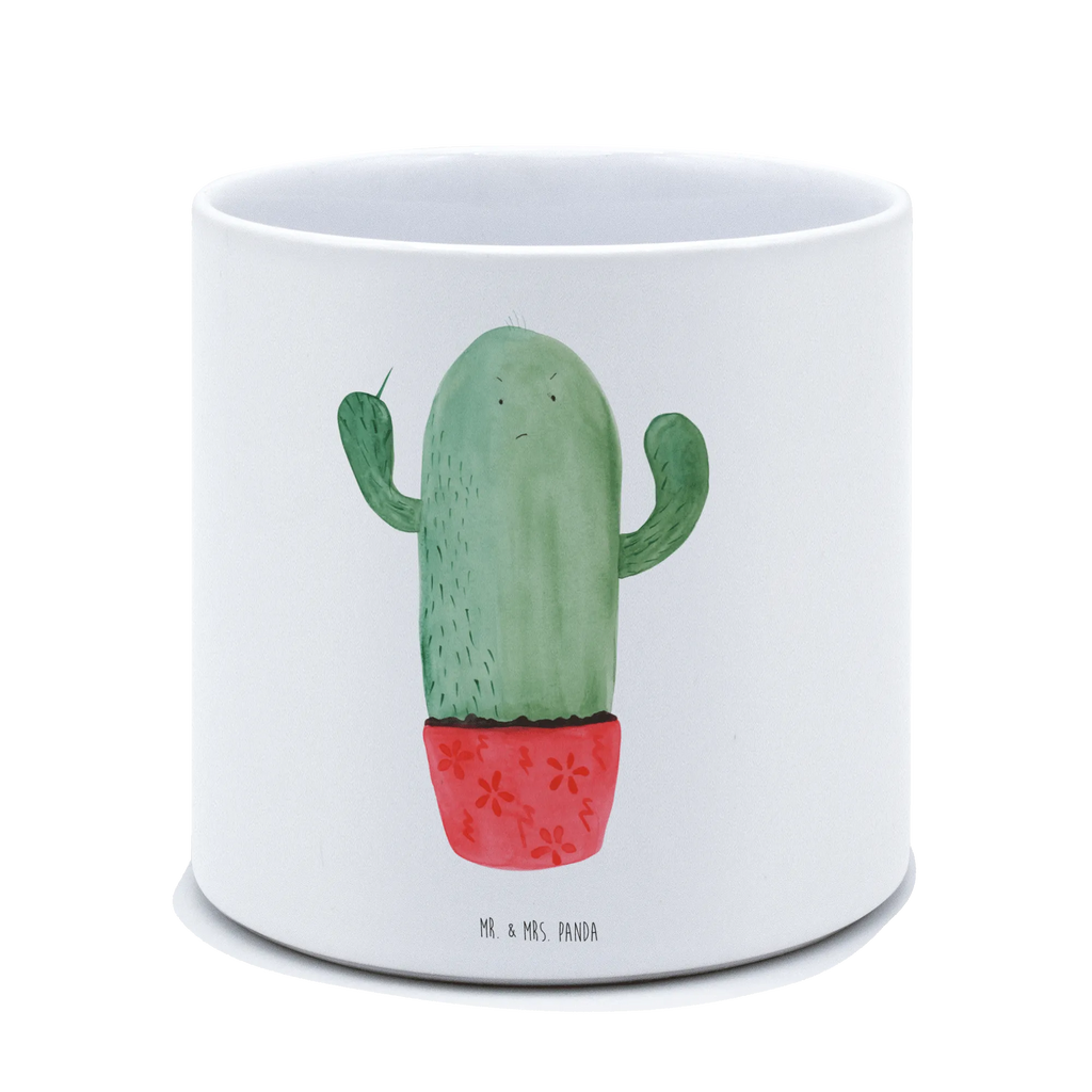 XL flower pot cactus Fury cactus, cactuses, plants, cactus plant, small green cactus, angry, colleague, office life, boss, school, annoy, office