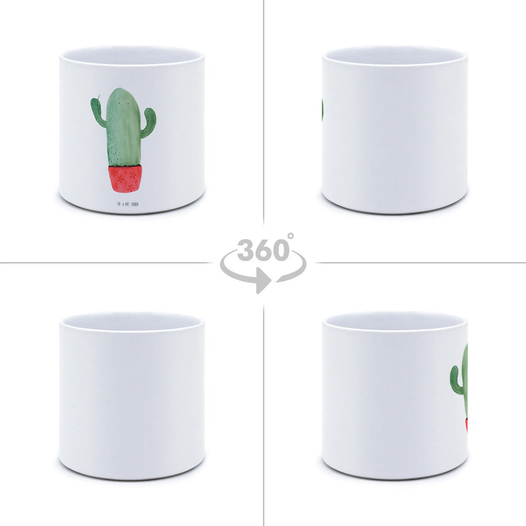 XL flower pot cactus Fury cactus, cactuses, plants, cactus plant, small green cactus, angry, colleague, office life, boss, school, annoy, office