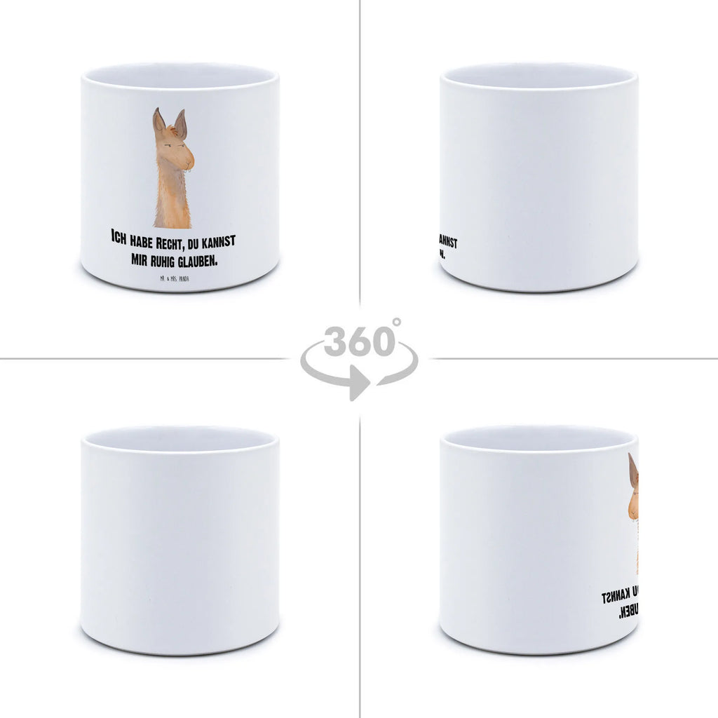 XL flower pot llama head Annoyed Llama, llama, alpaca, trendy animal, lamas, being annoyed, best friend, boss, partner, lama, apprentice, office, office life, being right, girlfriend