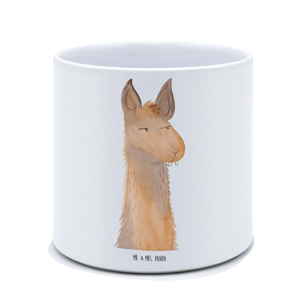 XL flower pot llama head Annoyed Llama, llama, alpaca, trendy animal, lamas, being annoyed, best friend, boss, partner, lama, apprentice, office, office life, being right, girlfriend