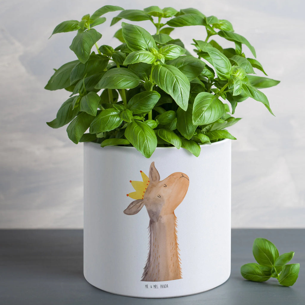 XL flower pot llama head king XL Übertopf Dekorativ, Wetterfester XL Blumentopf, Pflanztopf Garten Groß, Blumentopf Für Garten Groß, Blumentopf Für Große Pflanzen, Blumentopf Für Balkon Groß, Großer Blumentopf, Blumentopf Aus Ton XXL, Robuster Blumentopf Groß, Großer Pflanzbehälter, Blumentopf Groß Aus Kunststoff, Tiefer Blumentopf, Pflanzkübel Groß, Übertopf XL, Pflanzgefäß XL, Großer Blumentopf Für Innen Und Außen, XL Blumentopf, Pflanzkübel Für Palmen, Pflanztopf Groß, Hoher Blumentopf, Blumentopf XXL, Blumentopf Für Wohnzimmer XL, Dekotopf Groß, Geschenk Frauen, Blumentopf Groß Innenbereich, Blumentopf Extra Groß, Blumentopf Modern Groß, Frostsicherer Großer Blumentopf, Blumentopf Design XL, Blumentopf Rustikal Groß, Blumentopf Aus Keramik XL, Blumentopf Klassisch Groß, Eckiger XL Blumentopf, Blumentopf Aus Beton Groß, Runder XL Blumentopf, Pflanzgefäß Terrasse Groß, Blumentopf Groß Außenbereich, Blumentopf Für Terrasse XL, Lama, Alpaka, Kollegin, Büro Kollege, Mama, Königin, Abitur, Papa, König, Abi, Lamas, Freundin, Vorgesetzter, Chef
