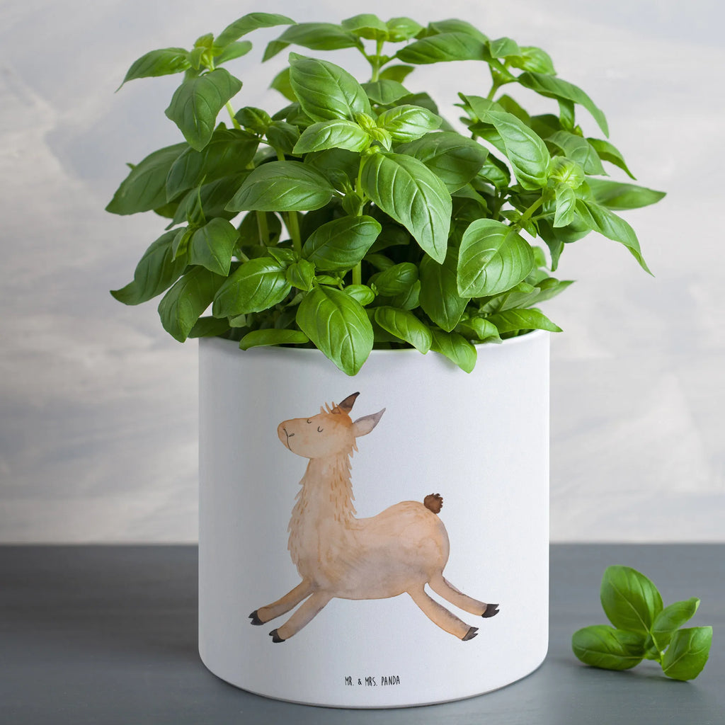 XL flower pot lama Jump Llama, llama, alpaca, trendy animal, graduation, exam, girlfriend, llamas, Lama, happy day, happy, good morning, luck, heartache, start, favourite day, new start