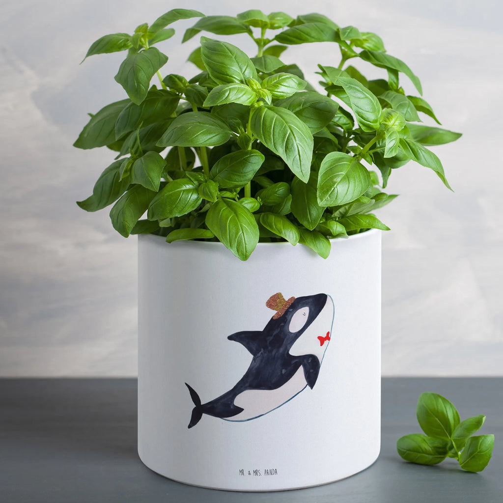XL Blumentopf Orca Zylinder Blumentopf Für Wohnzimmer XL, Blumentopf Modern Groß, Pflanzgefäß Terrasse Groß, Blumentopf Für Terrasse XL, Pflanzkübel Für Palmen, Blumentopf Groß Innenbereich, XL Übertopf Dekorativ, Übertopf XL, Blumentopf Für Balkon Groß, Blumentopf Extra Groß, Großer Blumentopf Für Innen Und Außen, Blumentopf Rustikal Groß, Blumentopf Für Garten Groß, Großer Pflanzbehälter, Blumentopf Klassisch Groß, Pflanzgefäß XL, Blumentopf Aus Beton Groß, Blumentopf Für Große Pflanzen, Eckiger XL Blumentopf, Wetterfester XL Blumentopf, Robuster Blumentopf Groß, Blumentopf XXL, Blumentopf Design XL, Hoher Blumentopf, Pflanzkübel Groß, Dekotopf Groß, Frostsicherer Großer Blumentopf, Tiefer Blumentopf, Großer Blumentopf, Pflanztopf Garten Groß, Blumentopf Groß Aus Kunststoff, Pflanztopf Groß, Blumentopf Aus Keramik XL, Runder XL Blumentopf, XL Blumentopf, Blumentopf Aus Ton XXL, Blumentopf Groß Außenbereich, Meerestiere, Meer, Urlaub, Glitter, Feier, Glückwunsch, Orca, Fest, Geburtstag, Konfetti, Narwal, Fete, Glitzer