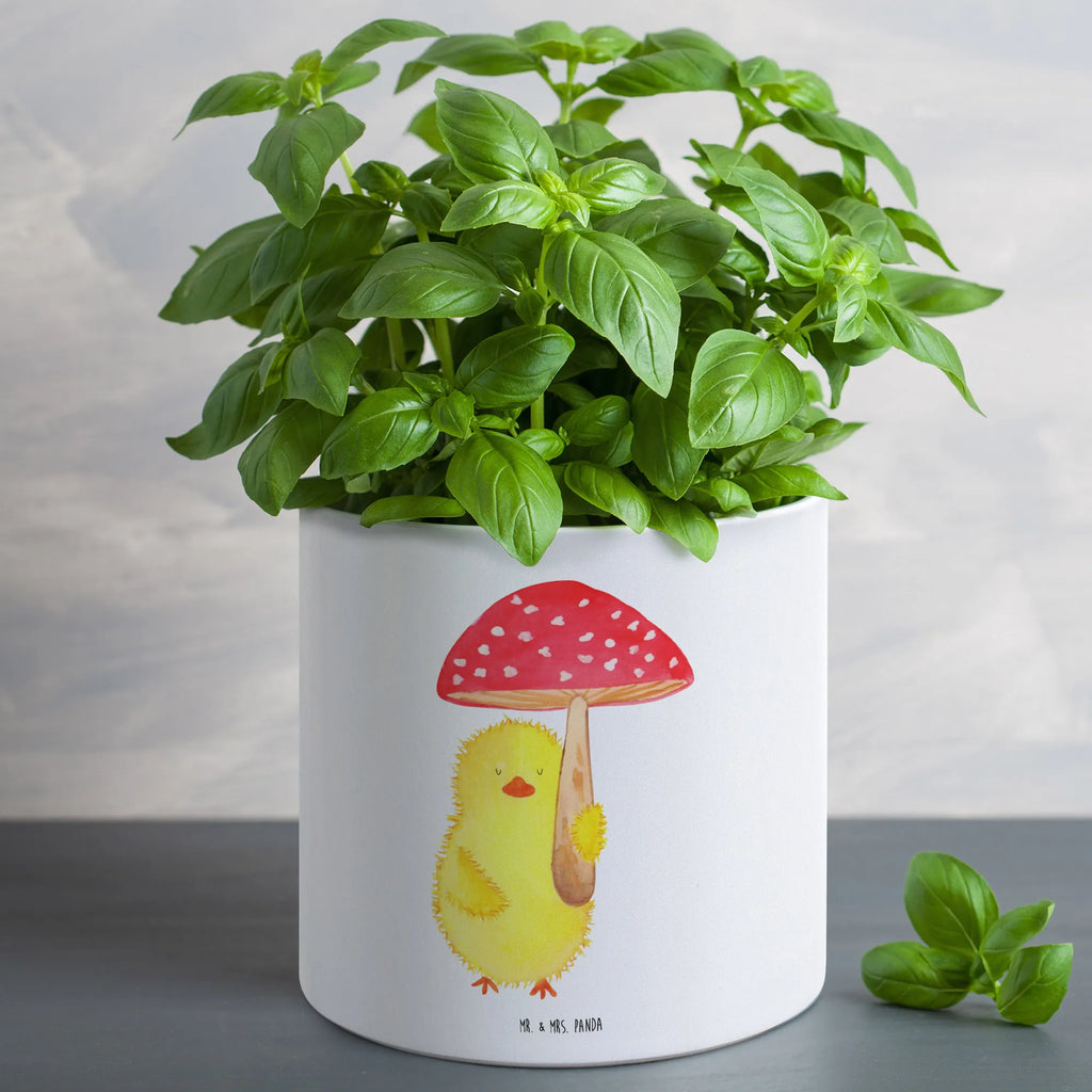 XL Blumentopf Küken Fliegenpilz Pflanzgefäß XL, Pflanztopf Garten Groß, Blumentopf Groß Aus Kunststoff, XL Blumentopf, Blumentopf Extra Groß, Pflanztopf Groß, Tiefer Blumentopf, Blumentopf Modern Groß, XL Übertopf Dekorativ, Großer Blumentopf, Blumentopf Für Terrasse XL, Blumentopf Groß Außenbereich, Blumentopf Für Große Pflanzen, Robuster Blumentopf Groß, Blumentopf Für Balkon Groß, Frostsicherer Großer Blumentopf, Großer Pflanzbehälter, Blumentopf Aus Beton Groß, Blumentopf Für Wohnzimmer XL, Pflanzkübel Für Palmen, Eckiger XL Blumentopf, Großer Blumentopf Für Innen Und Außen, Blumentopf Rustikal Groß, Blumentopf Klassisch Groß, Runder XL Blumentopf, Blumentopf XXL, Wetterfester XL Blumentopf, Pflanzgefäß Terrasse Groß, Blumentopf Für Garten Groß, Blumentopf Aus Ton XXL, Übertopf XL, Dekotopf Groß, Pflanzkübel Groß, Blumentopf Design XL, Blumentopf Groß Innenbereich, Hoher Blumentopf, Blumentopf Aus Keramik XL, Ostern, Osterhase, Ostergeschenke, Osternest, Osterdeko, Geschenke zu Ostern, Ostern Geschenk, Ostergeschenke Kinder, Ostern Kinder, Fliegenpilz, Küken, Glückspilz, Ostergrüße, Frohe Ostern