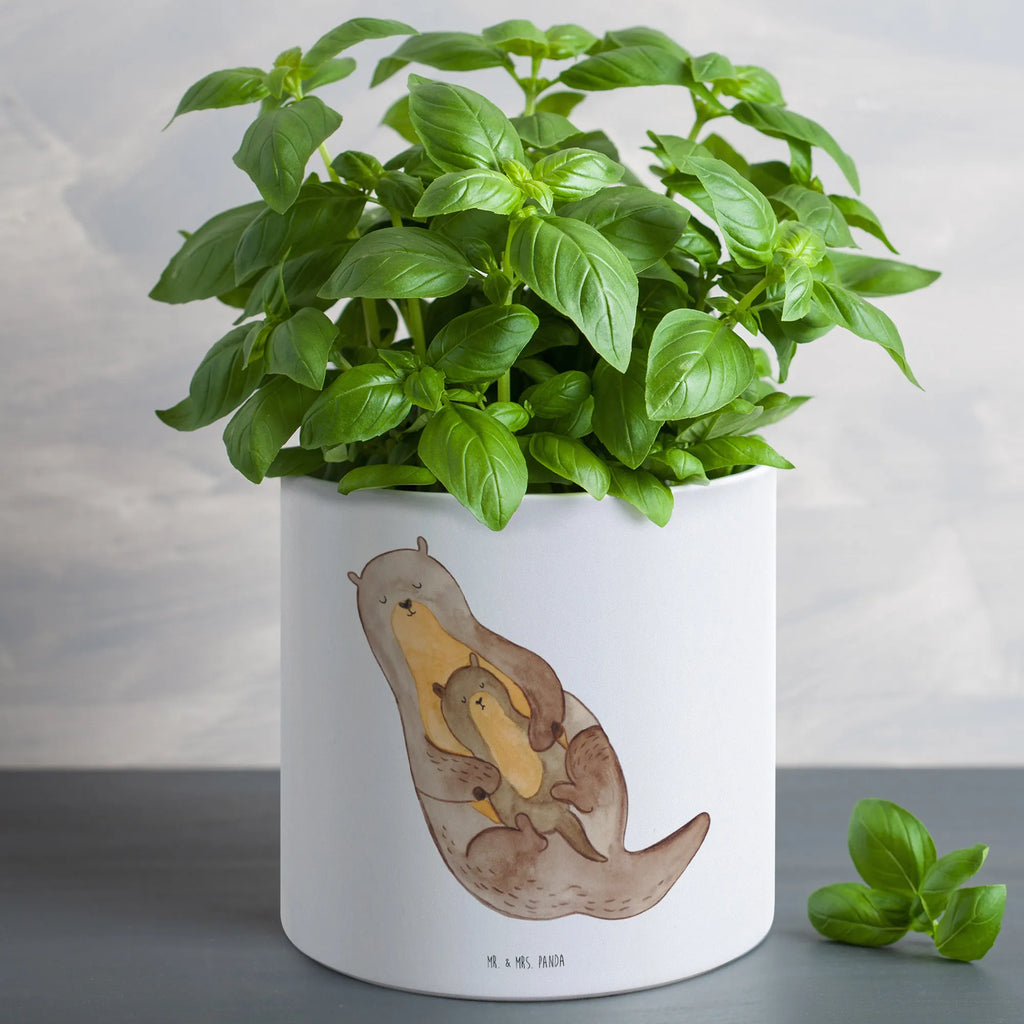 XL donica wydra dziecko Kuna, wydra, morska wydra