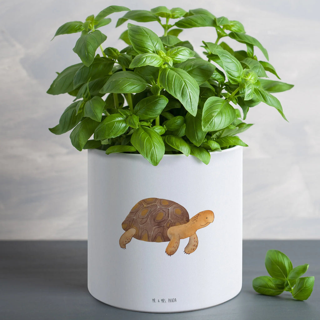 XL flower pot tortoise March Frostsicherer Großer Blumentopf, Blumentopf Aus Keramik XL, Blumentopf Für Wohnzimmer XL, Runder XL Blumentopf, Blumentopf Rustikal Groß, Pflanzgefäß XL, Blumentopf Aus Beton Groß, Pflanzgefäß Terrasse Groß, Blumentopf Aus Ton XXL, Blumentopf Groß Aus Kunststoff, Großer Blumentopf Für Innen Und Außen, Blumentopf Für Balkon Groß, Blumentopf Modern Groß, Blumentopf Klassisch Groß, Großer Blumentopf, Blumentopf Groß Innenbereich, XL Blumentopf, Blumentopf Design XL, Übertopf XL, Blumentopf Für Garten Groß, Blumentopf Extra Groß, Robuster Blumentopf Groß, Blumentopf Für Terrasse XL, Pflanztopf Garten Groß, Dekotopf Groß, Pflanzkübel Für Palmen, Hoher Blumentopf, Pflanztopf Groß, Tiefer Blumentopf, Blumentopf Groß Außenbereich, Pflanzkübel Groß, Großer Pflanzbehälter, Eckiger XL Blumentopf, Wetterfester XL Blumentopf, XL Übertopf Dekorativ, Blumentopf XXL, Blumentopf Für Große Pflanzen, Meerestiere, Meer, Urlaub, Reiselust, Abenteuer, Motivation, get lost, Neustart, Inspiration, Lieblingsmensch, Schildkröte, Schildkröten
