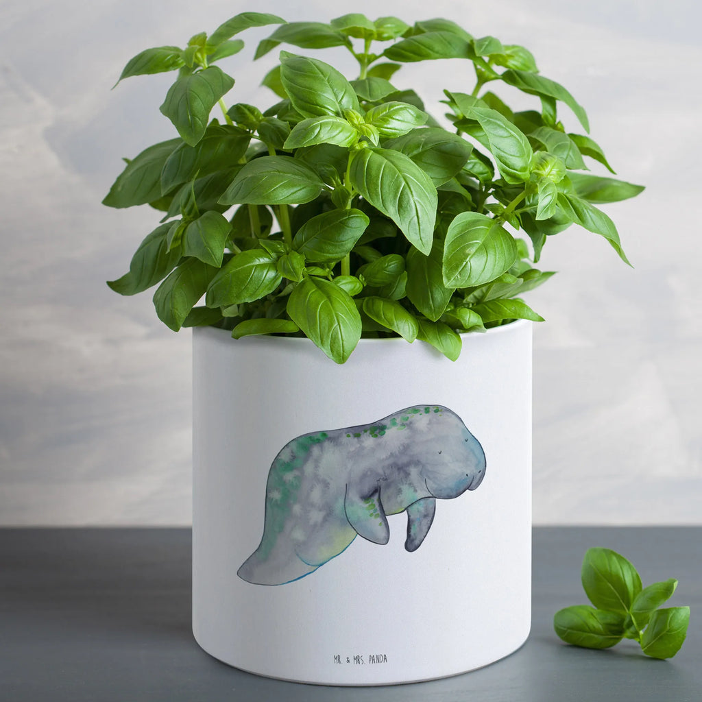 XL flower pot manatee Relax Seafood, aquatic animals, ocean, sea, fish, shells, corals, reef, whale, narwhal, sea urchin, lobster, platypus, turtle, manatee, crocodile, orca, shrimp, gifts for seafood lovers, water world, underwater animals, underwater world, vacation, deep sea, seafood fans, gift ideas, seafood decoration, seafood posters, sweets, diet mania, food, manatees, losing weight, sugar, diet