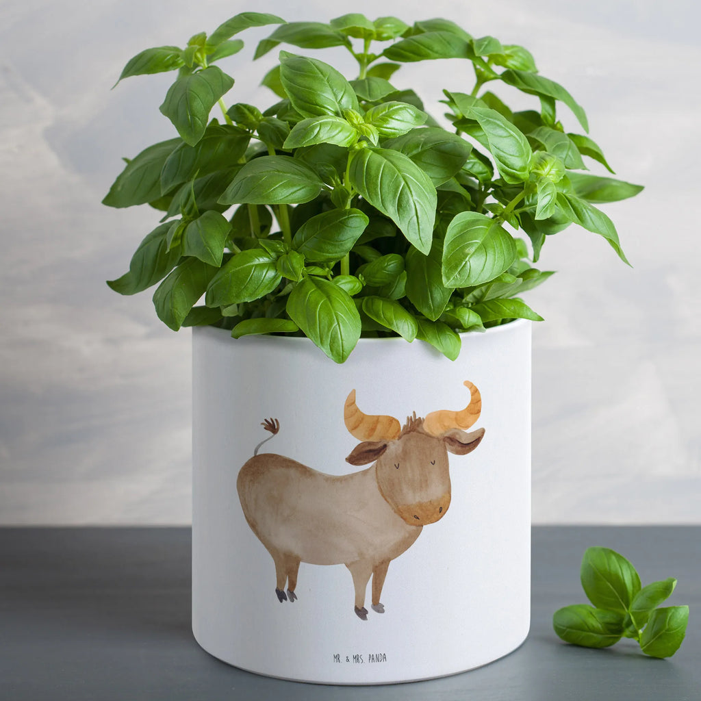 XL donica Znak zodiaku Byk Znak zodiaku, gwiazdozbiór, horoskop, astrologia, ascendent