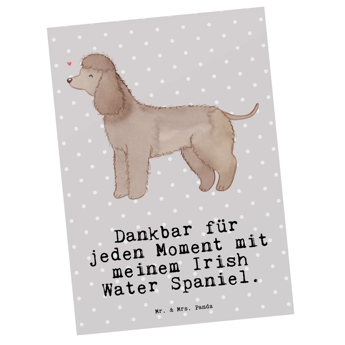 Postcard Irish Water Spaniel moment Postkarten, Grußkarte, Kunstkarten, Ansichtskarte, Motivkarte, bildkarte, Designkarte, Ansichtskarten, kunstkarte, spruchkarte, Fotokarte, einzelkarte, Postkarte, Geschenk, Schenken, Hund, Hunderasse, Rassehund, Hundebesitzer, Tierfreund, Welpe, Jagdhund, Irish Water Spaniel