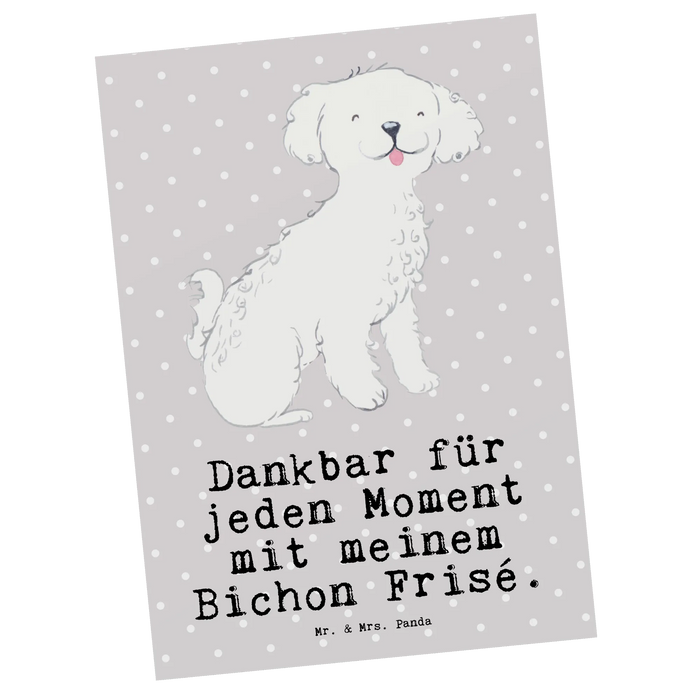 Pocztówka Bichon Frise Chwila