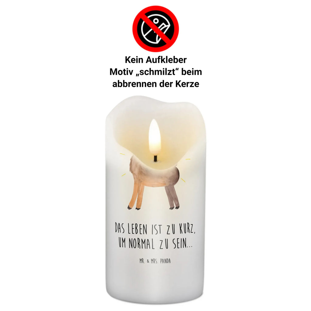 Candle lama Proud Adventskerze, Tafelkerze, Geburtstagskerze, Kerze Mit Spruch, Osterkerze, Stumpenkerze, Handgemachte Kerze, Dekorative Kerze, Laternenkerze, Kerze Mit Motiv, Schmuckkerze, Grosse Kerze, Dekokerze, Kommunionskerze, Bedruckte Kerze, Tischkerze, Erinnerungskerze, Erinnerungslicht, Hochzeitskerze, Dinnerkerze, Blockkerze, Wunschkerze, Geburtskerze, Weihnachtskerze, Zylinderkerze, Wachskerze, Gartenkerze, Alpaka, Lama, Beste Freundin, Außenseiter, Hippie, Familie, Family, Freundinnen, Anders, Lamas, Freundin, Stolz, Neustart, Kumpel