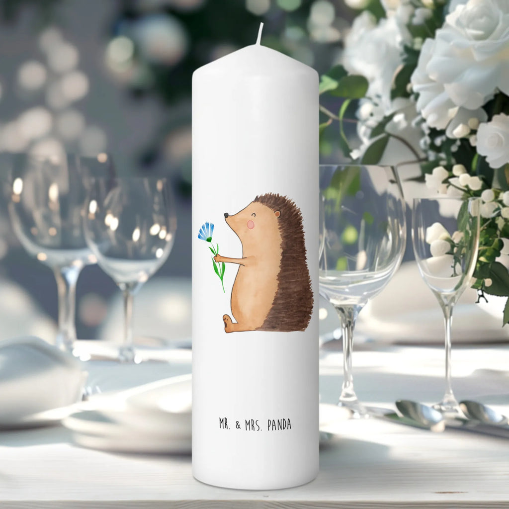 Kerze Igel mit Blume Metall-Kerze, Gedenkkerze, Stabkerze, Blockkerze, Kerze Für Taufe, Dinnerkerze, Kerze Als Gastgeschenk, Glas-Kerze, Votivkerze, Kerze Für Advent, Duftkerze, Kerze Mit Gravur, Kerze Für Geburtstag, Kerze Für Weihnachten, Handgegossene Kerze, Dinnerkerzenpaar, Kerze Mit Namensgravur, Kerze Mit Prägung, Tischkerze, Kerze Mit Fotoeinleger, Gartenkerze, Kerze Mit Motiv, Kerze Für Ostern, Sojawachskerze, Kerze, Kerze Mit Spruch, Bio-Kerze, Kerze Mit Duft, Kerze Für Hochzeit, Teelicht, Kerze Für Firmung, Tafelkerze, Grabkerze, Grablicht, Stumpenkerzen-Set, Laternenkerze, Fair-Trade-Kerze, Outdoor-Kerze, Kerze Für Kommunion, Handgemachte Kerze, Kerze Ohne Duft, Streukerze, Stearin­kerze, Trauerkerze, Andachtskerze, Stumpenkerze, Tiermotive, Gute Laune, lustige Sprüche, Tiere, Krankheit, Krankenhaus, Besuch, Genesungswünsche, krank, Gute Besserung, Igel