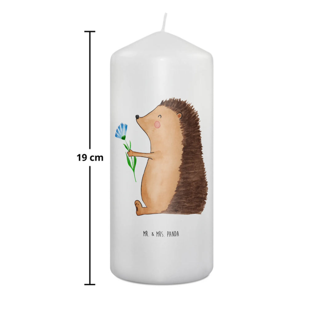 Kerze Igel mit Blume Metall-Kerze, Gedenkkerze, Stabkerze, Blockkerze, Kerze Für Taufe, Dinnerkerze, Kerze Als Gastgeschenk, Glas-Kerze, Votivkerze, Kerze Für Advent, Duftkerze, Kerze Mit Gravur, Kerze Für Geburtstag, Kerze Für Weihnachten, Handgegossene Kerze, Dinnerkerzenpaar, Kerze Mit Namensgravur, Kerze Mit Prägung, Tischkerze, Kerze Mit Fotoeinleger, Gartenkerze, Kerze Mit Motiv, Kerze Für Ostern, Sojawachskerze, Kerze, Kerze Mit Spruch, Bio-Kerze, Kerze Mit Duft, Kerze Für Hochzeit, Teelicht, Kerze Für Firmung, Tafelkerze, Grabkerze, Grablicht, Stumpenkerzen-Set, Laternenkerze, Fair-Trade-Kerze, Outdoor-Kerze, Kerze Für Kommunion, Handgemachte Kerze, Kerze Ohne Duft, Streukerze, Stearin­kerze, Trauerkerze, Andachtskerze, Stumpenkerze, Tiermotive, Gute Laune, lustige Sprüche, Tiere, Krankheit, Krankenhaus, Besuch, Genesungswünsche, krank, Gute Besserung, Igel