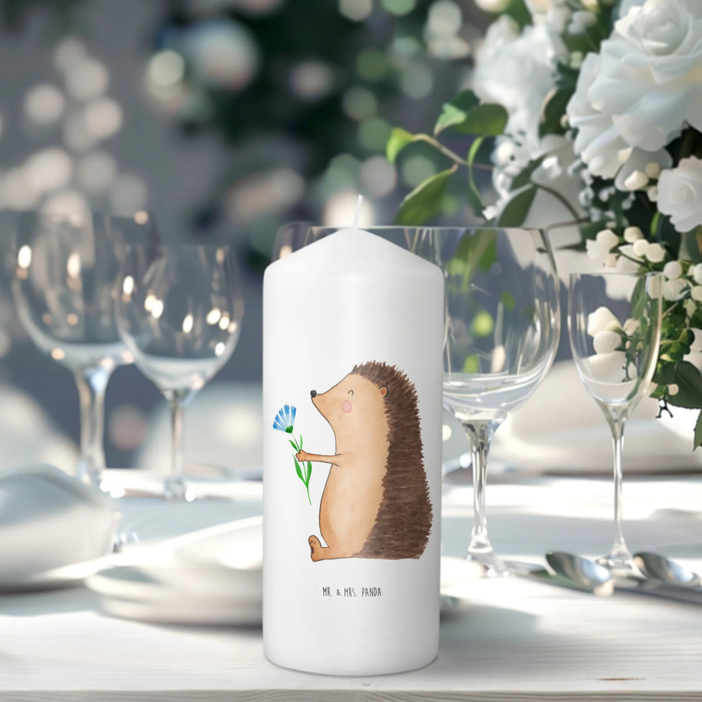 Kerze Igel mit Blume Metall-Kerze, Gedenkkerze, Stabkerze, Blockkerze, Kerze Für Taufe, Dinnerkerze, Kerze Als Gastgeschenk, Glas-Kerze, Votivkerze, Kerze Für Advent, Duftkerze, Kerze Mit Gravur, Kerze Für Geburtstag, Kerze Für Weihnachten, Handgegossene Kerze, Dinnerkerzenpaar, Kerze Mit Namensgravur, Kerze Mit Prägung, Tischkerze, Kerze Mit Fotoeinleger, Gartenkerze, Kerze Mit Motiv, Kerze Für Ostern, Sojawachskerze, Kerze, Kerze Mit Spruch, Bio-Kerze, Kerze Mit Duft, Kerze Für Hochzeit, Teelicht, Kerze Für Firmung, Tafelkerze, Grabkerze, Grablicht, Stumpenkerzen-Set, Laternenkerze, Fair-Trade-Kerze, Outdoor-Kerze, Kerze Für Kommunion, Handgemachte Kerze, Kerze Ohne Duft, Streukerze, Stearin­kerze, Trauerkerze, Andachtskerze, Stumpenkerze, Tiermotive, Gute Laune, lustige Sprüche, Tiere, Krankheit, Krankenhaus, Besuch, Genesungswünsche, krank, Gute Besserung, Igel