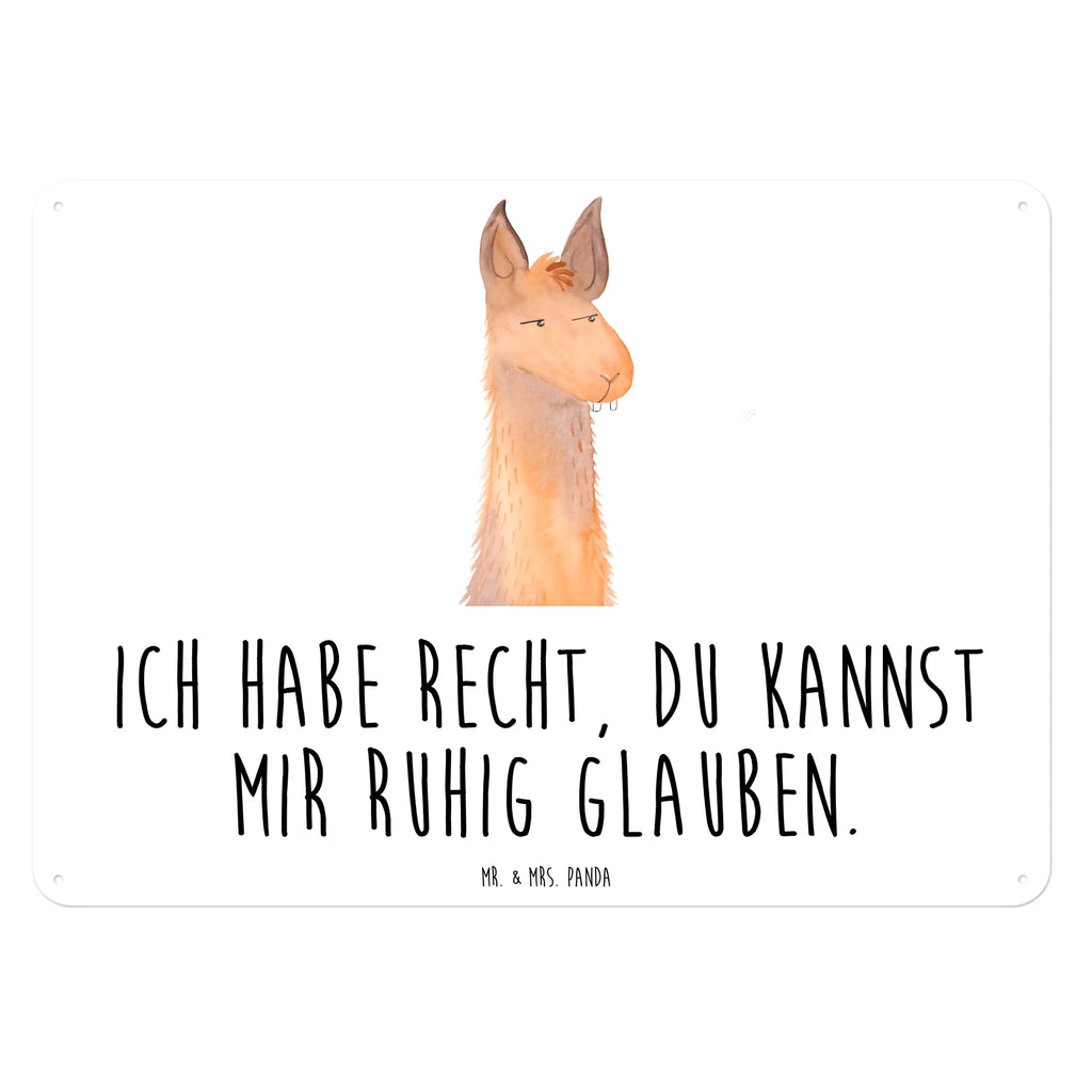 Tin sign llama head Annoyed Blechschild Zum Aufhängen, Blechschild Für Männer, Dekoschild Metall, Blechschild Groß, Blechschild, Blechschild Für Frauen, Wandschild Metall, Blechschild Küche, Türschild Metall, Blechschild Büro, Alpaka, Lama, Partnerin, Recht haben, Lamas, Genervt sein, Büroalltag, Freundin, Azubi, Chef, Büro, Chefin, Beste Freundin