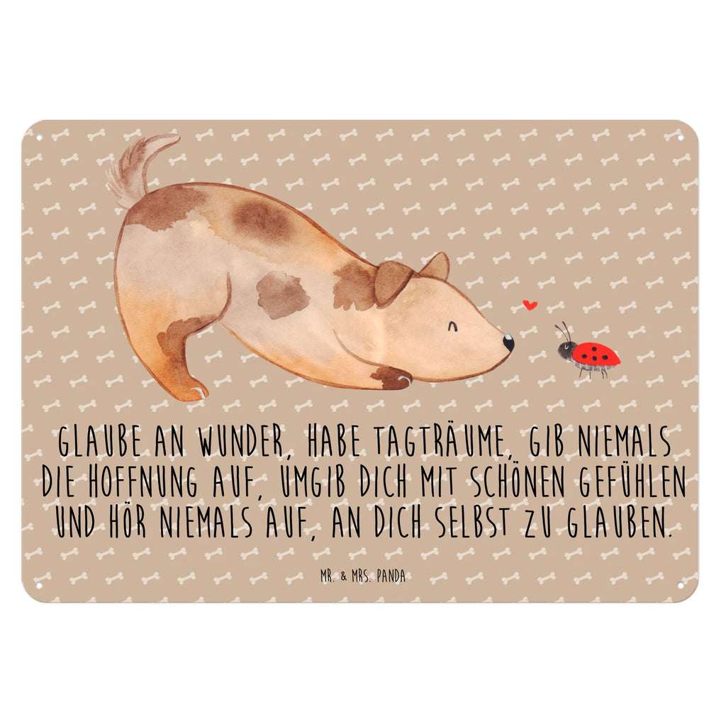 Blechschild Hund Marienkäfer Blechschild Küche, Dekoschild Metall, Blechschild Groß, Wandschild Metall, Blechschild Zum Aufhängen, Blechschild Für Frauen, Blechschild Für Männer, Türschild Metall, Blechschild Büro, Blechschild, Hunderasse, Hundebesitzer, Hund, Haustier, Sprüche, Tierliebhaber, Hundemotiv, Hundespruch, Mischling, Mischlinghund, Marienkäfer, Hunde