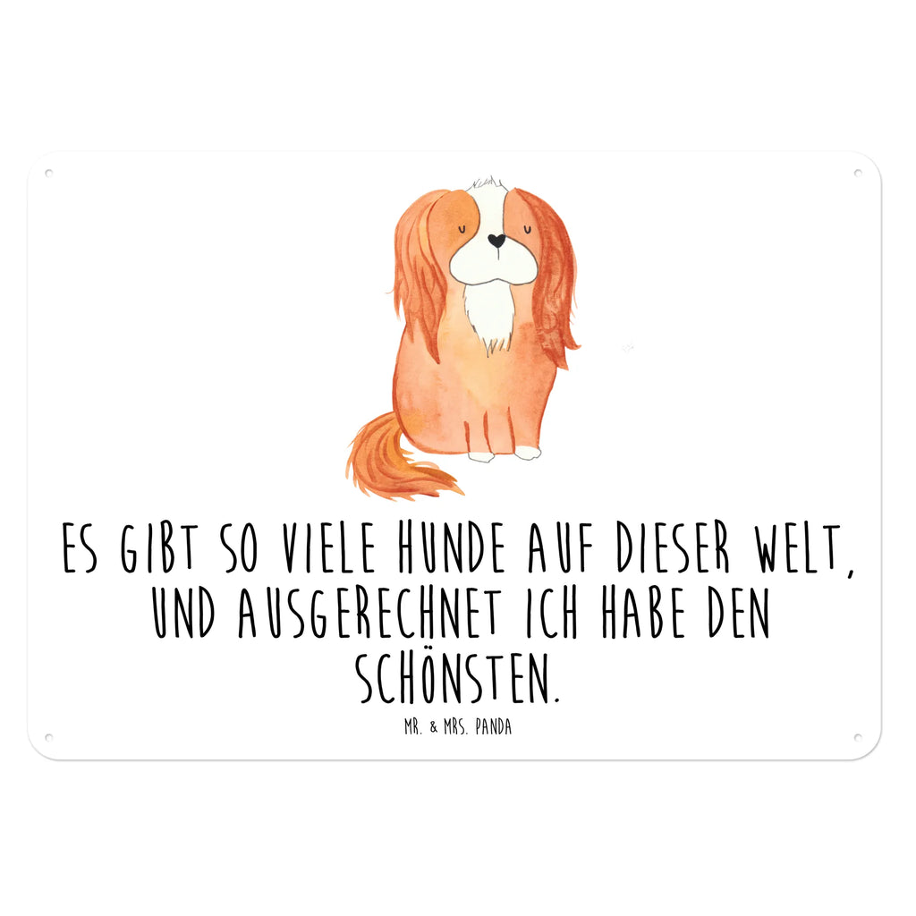 Tin sign Dog Cavalier King Charles Spaniel Blechschild Für Männer, Blechschild Küche, Dekoschild Metall, Blechschild Zum Aufhängen, Wandschild Metall, Türschild Metall, Blechschild Für Frauen, Blechschild, Blechschild Büro, Blechschild Groß, Hunderasse, Hundebesitzer, Hund, Haustier, Sprüche, Tierliebhaber, Hundemotiv, Cockerspaniel, Spruch, Cavalier King Charles Spaniel, Schönster Hund, Spaniel