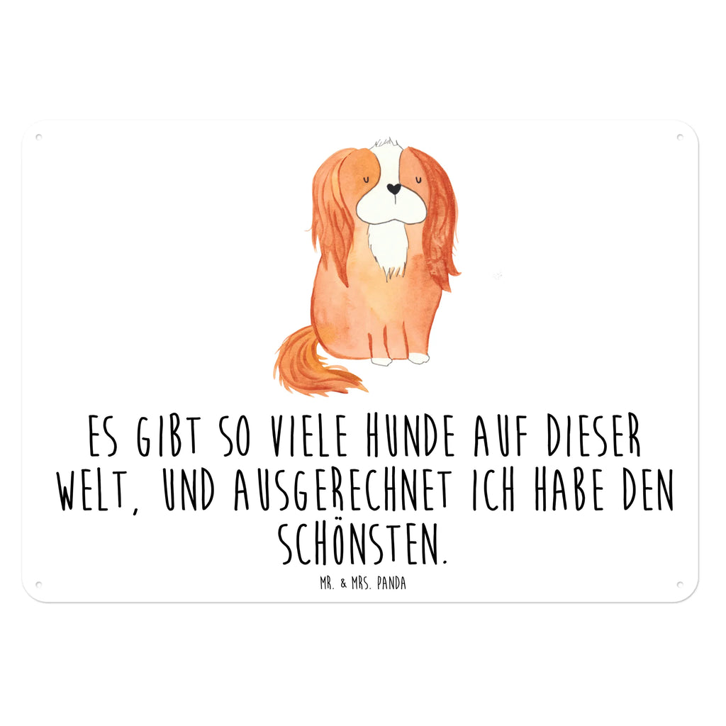 Tin sign Dog Cavalier King Charles Spaniel Blechschild Für Männer, Blechschild Küche, Dekoschild Metall, Blechschild Zum Aufhängen, Wandschild Metall, Türschild Metall, Blechschild Für Frauen, Blechschild, Blechschild Büro, Blechschild Groß, Hunderasse, Hundebesitzer, Hund, Haustier, Sprüche, Tierliebhaber, Hundemotiv, Cockerspaniel, Spruch, Cavalier King Charles Spaniel, Schönster Hund, Spaniel