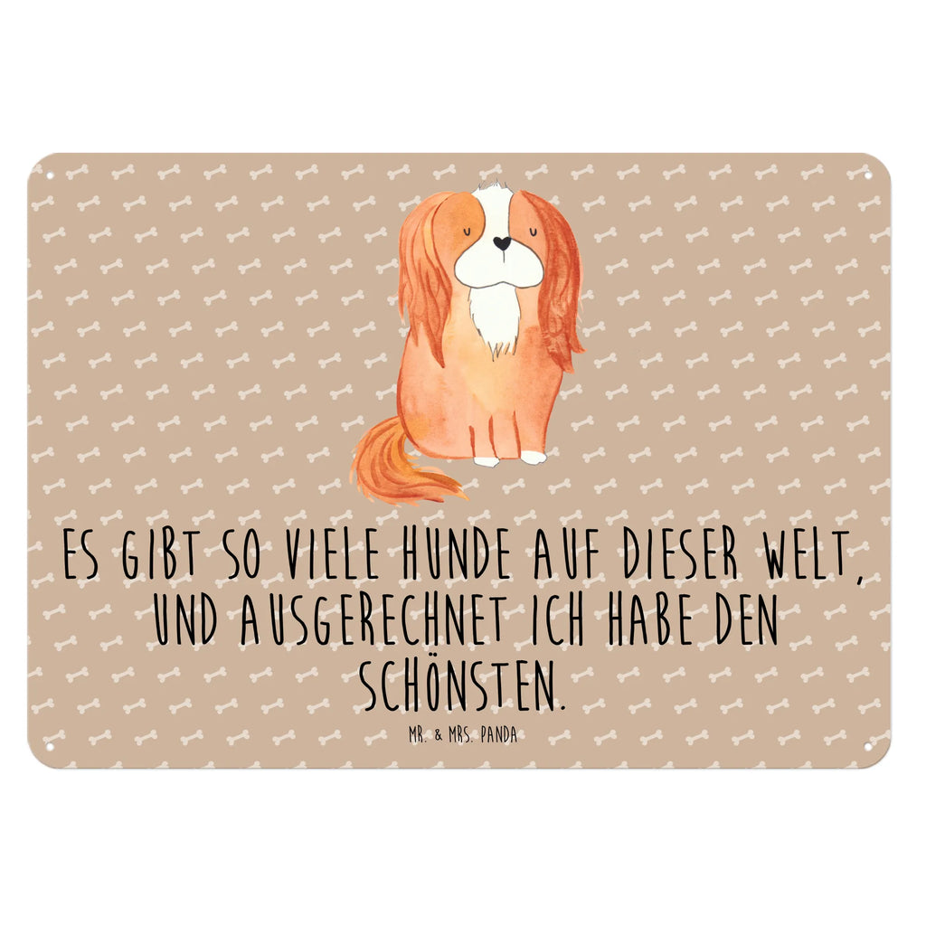Tin sign Dog Cavalier King Charles Spaniel Blechschild Für Männer, Blechschild Küche, Dekoschild Metall, Blechschild Zum Aufhängen, Wandschild Metall, Türschild Metall, Blechschild Für Frauen, Blechschild, Blechschild Büro, Blechschild Groß, Hunderasse, Hundebesitzer, Hund, Haustier, Sprüche, Tierliebhaber, Hundemotiv, Cockerspaniel, Spruch, Cavalier King Charles Spaniel, Schönster Hund, Spaniel