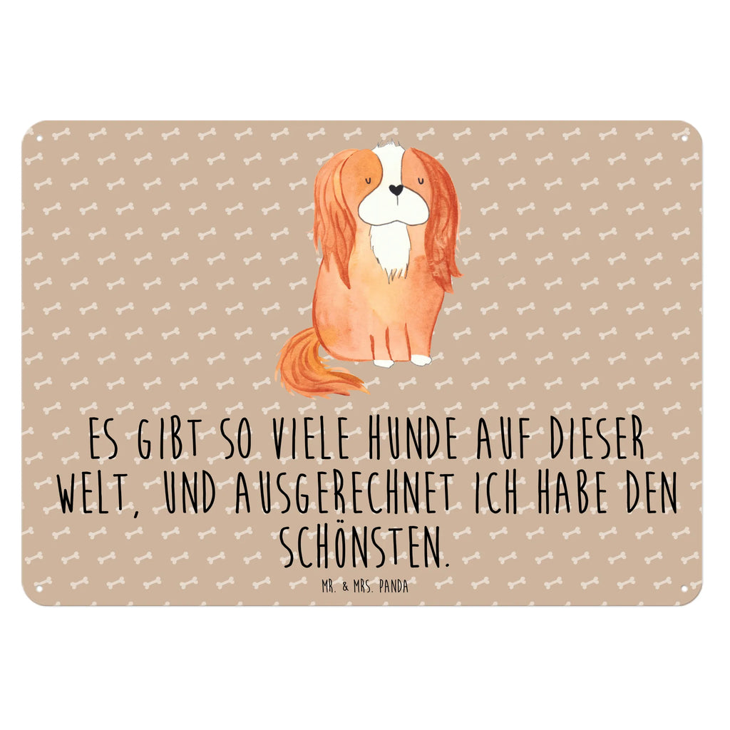 Tin sign Dog Cavalier King Charles Spaniel Blechschild Für Männer, Blechschild Küche, Dekoschild Metall, Blechschild Zum Aufhängen, Wandschild Metall, Türschild Metall, Blechschild Für Frauen, Blechschild, Blechschild Büro, Blechschild Groß, Hunderasse, Hundebesitzer, Hund, Haustier, Sprüche, Tierliebhaber, Hundemotiv, Cockerspaniel, Spruch, Cavalier King Charles Spaniel, Schönster Hund, Spaniel
