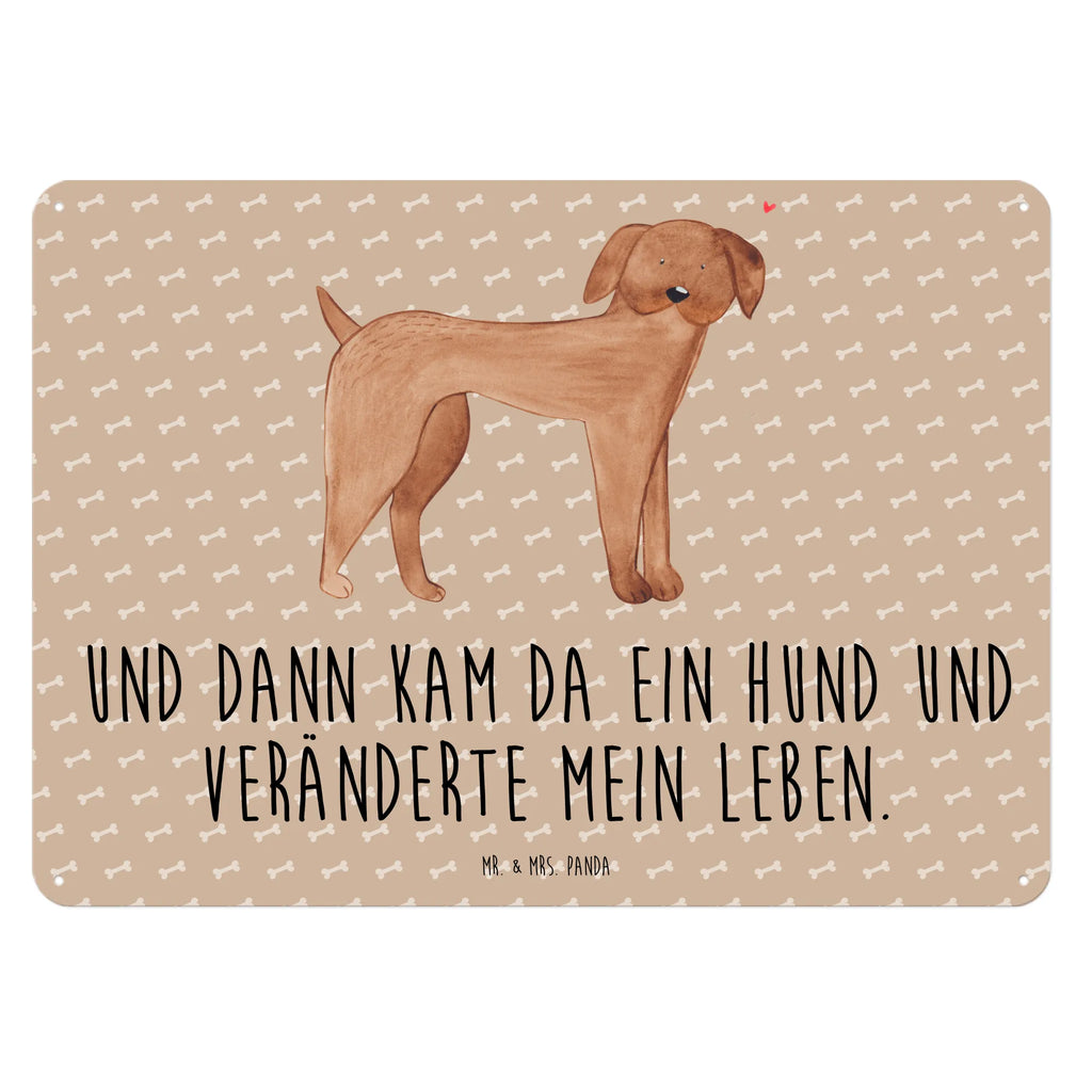 Blechschild Hund Dogge Blechschild Groß, Blechschild, Blechschild Küche, Blechschild Für Männer, Dekoschild Metall, Blechschild Büro, Blechschild Für Frauen, Türschild Metall, Blechschild Zum Aufhängen, Wandschild Metall, Hunderasse, Hundebesitzer, Hund, Haustier, Sprüche, Tierliebhaber, Hundemotiv, Great Dane, Deutsche Dogge, Hunde, Dogge