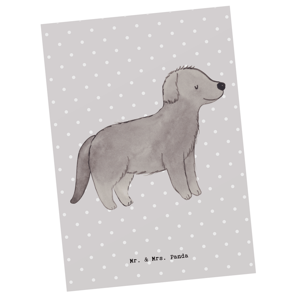 Postkarte Neufundländer Lebensretter Postkarte, Karte, Geschenkkarte, Grußkarte, Einladung, Ansichtskarte, Geburtstagskarte, Einladungskarte, Dankeskarte, Hund, Hunderasse, Rassehund, Hundebesitzer, Geschenk, Tierfreund, Schenken, Welpe, Neufundländer, Newfoundland