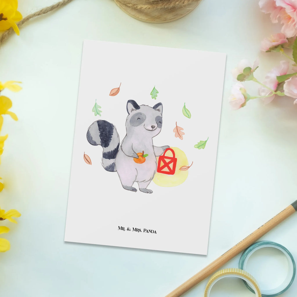 Pocztówka szop pracz latarnia Halloween, dekoracje, Martinssingen, dekoracja, prezenty, dawanie