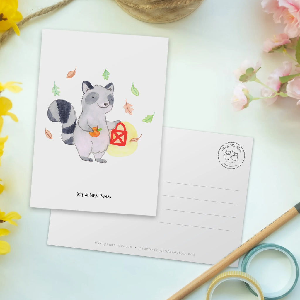 Pocztówka szop pracz latarnia Halloween, dekoracje, Martinssingen, dekoracja, prezenty, dawanie