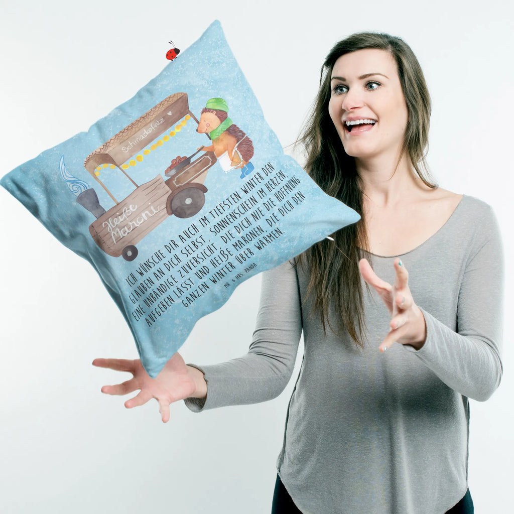 Cushion hedgehog Chestnuts cushion, pillow case, sofa, pad, fluffy, settee, soft, 40 x 40, Pillow, bed, bedroom, couch, pillows, 40x40, Winter, Christmas, Christmas time, snow