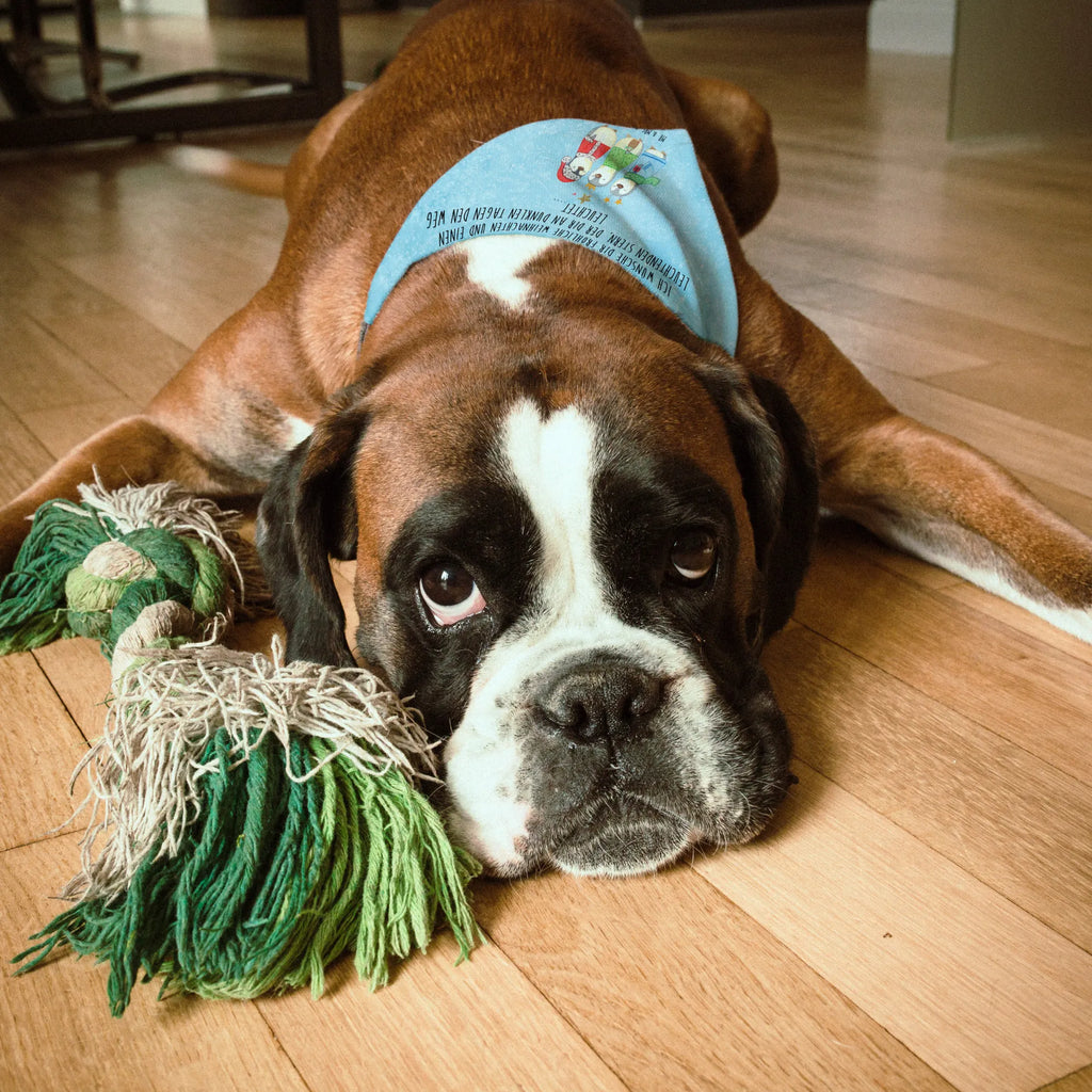 Hundehalstuch Winterzeit Heilige drei Könige Hundebandana, Tuch Für Hundehals, Halstuch Für Hunde, Hundehalstuch Für Spaziergang., Hundetuch Mit Muster, Hundetuch, Hunde-Neckerchief, Hundehalsbändchentuch, Hundeschal, Halsbandtuch Für Hunde, Bandana Für Kleine Rassen, Hundeschal Modern, Bandana Für Hunde, Hundehalstuch Waschbar, Hundehalstuch Aus Polyester, Bandana Für Welpen, Halstuch Für Große Hunde, Hundehalstuch Geschenkidee, Hundehalstuch Witterungsbeständig, Halstuch Für Welpen, Hunde-Bandana, Bandana Für Große Rassen, Hunde-Kopftuch (Varianten), Schal Für Hunde, Halstuch Hund, Hundehalstuch Aus Baumwolle, Hundetuch Klassisch, Hundehalstuch, Hundeaccessoire Tuch, Hundeschal Bandana, Haustierhalstuch, Halstuch Für Kleine Hunde, Hundehalstuch Designer, Winter, Weihnachten, Weihnachtsdeko, Nikolaus, Advent, Heiligabend, Wintermotiv, Weihnachtsmann, Heilige drei Könige, Weihnachtszeit, Weihnachtstage