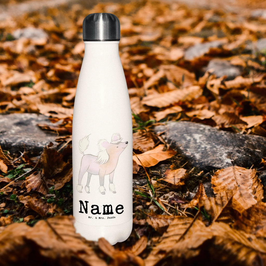 Personalised insulated bottle Chinese Crested Dog Life Saver Dog, dog breed, purebred dog, dog owner, gift, animal lover, giving, puppy
