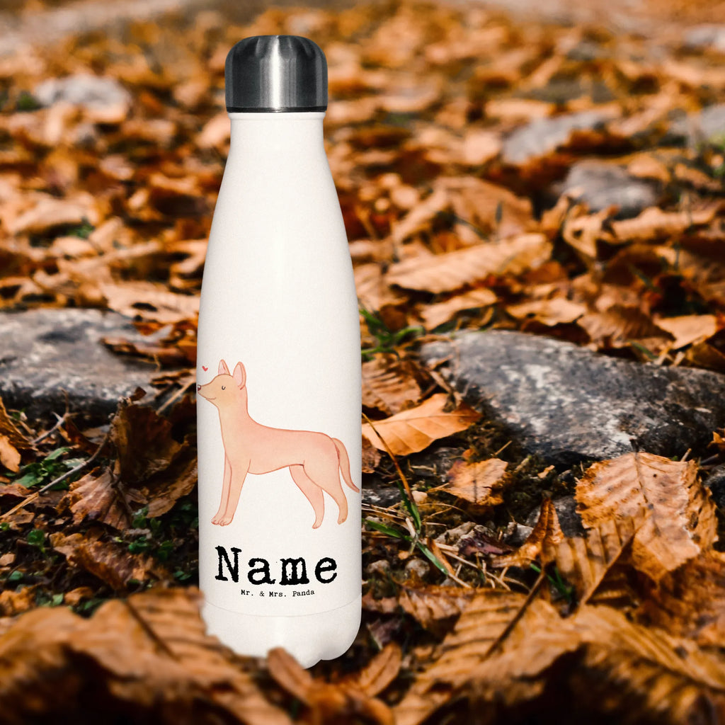 Personalised insulated bottle Pharaoh Hound Lifesaver Dog, dog breed, purebred dog, dog owner, gift, animal lover, giving, puppy
