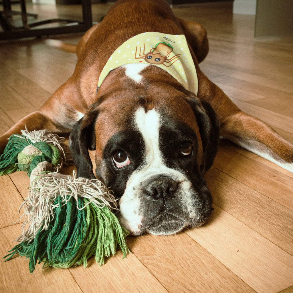 Chusta na szyję dla psa L Pająk Agata kanapka Halstuch Für Kleine Hunde, Hundehalstuch Aus Baumwolle, Halstuch Hund, Hundehalstuch, Haustierhalstuch, Hundetuch Klassisch, Halstuch Für Große Hunde, Hundehalstuch Designer, Hunde-Bandana, Bandana Für Kleine Rassen, Hundehalstuch Waschbar, Hundehalsbändchentuch, Halstuch Für Welpen, Hundebandana, Bandana Für Große Rassen, Hunde-Kopftuch (Varianten), Hundeschal Modern, Hundehalstuch Aus Polyester, Halstuch Für Hunde, Hundetuch, Hunde-Neckerchief, Schal Für Hunde, Bandana Für Hunde, Tuch Für Hundehals, Bandana Für Welpen, Halsbandtuch Für Hunde, Hundetuch Mit Muster, Hundehalstuch Für Spaziergang., Hundehalstuch Geschenkidee, Hundehalstuch Witterungsbeständig, Hundeaccessoire Tuch, Hundeschal Bandana, Hundeschal, Spinne Agathe, Spinne, Agathe, Videos, Merchandise, Verfressen, Alles wird gut, Lebensfreude, Hunger, Hungrig, Glück, Mut
