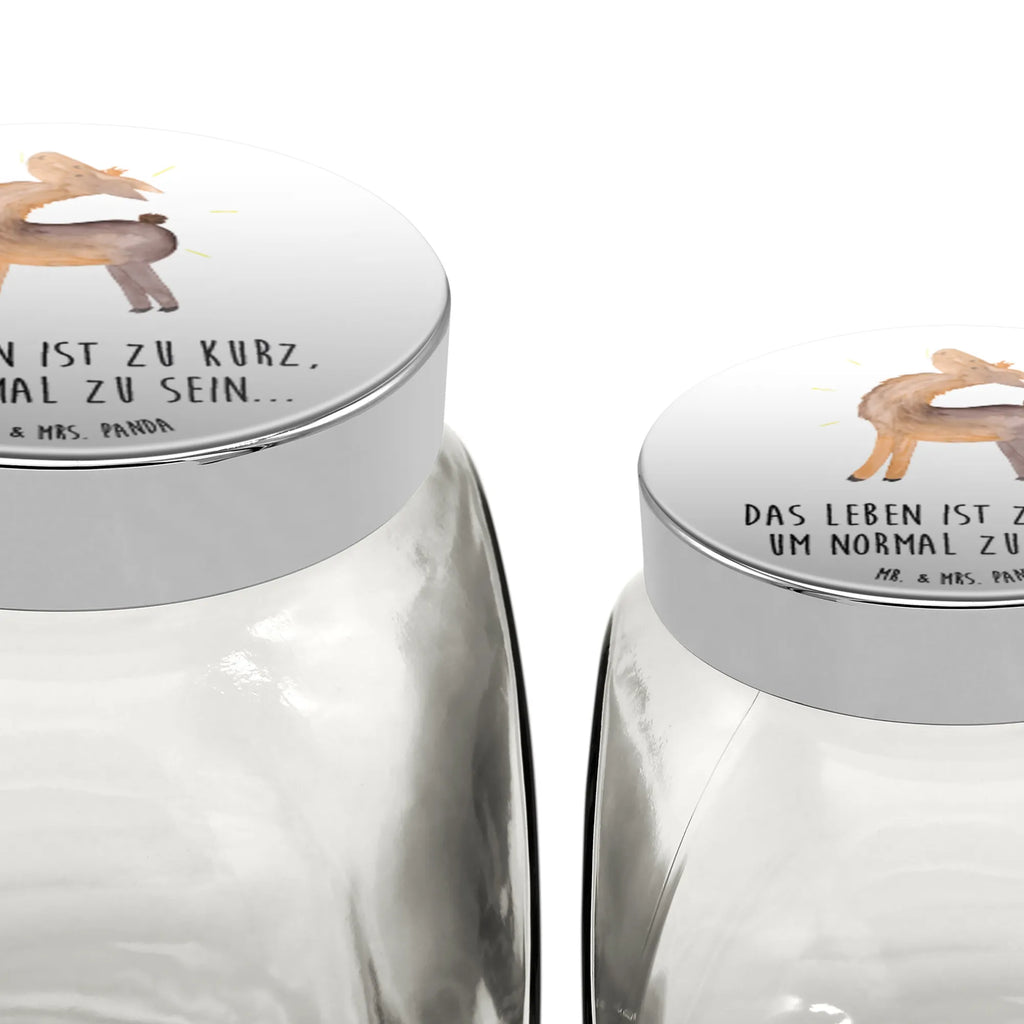 Candy Jar lama Proud Llama, llama, alpaca, trendy animal, New start, Girlfriend, Llamas, Family, Outsider, Different, Proud, Girlfriends, Hippie, Best friend, Buddy, Lama