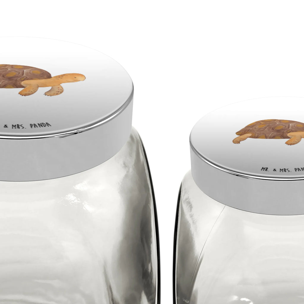 Candy Jar tortoise March Seafood, aquatic animals, ocean, sea, fish, shells, corals, reef, whale, narwhal, sea urchin, lobster, platypus, turtle, manatee, crocodile, orca, shrimp, gifts for seafood lovers, water world, underwater animals, underwater world, vacation, deep sea, seafood fans, gift ideas, seafood decoration, seafood posters, turtles, inspiration, new start, motivation, adventure, wanderlust, get lost, favourite person