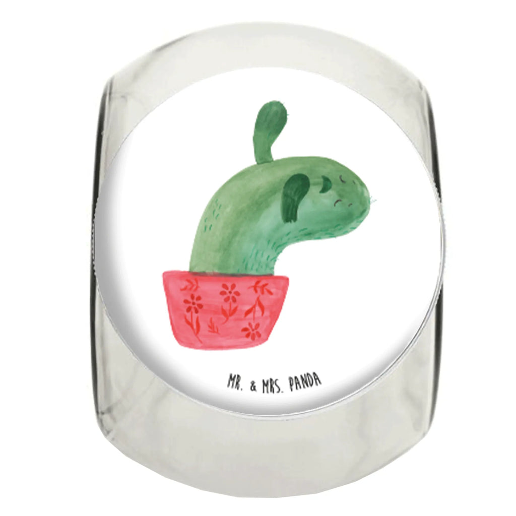 Candy Jar cactus mummy cactus, cactuses, plants, cactus plant, small green cactus, school, annoyance, office, office life, cactus love, motivation, cacti, quota