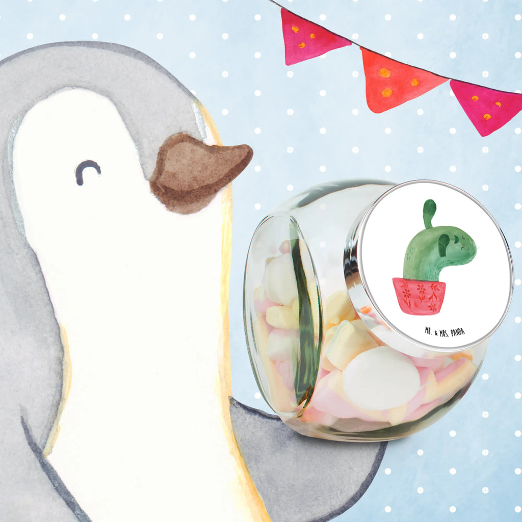 Candy Jar cactus mummy cactus, cactuses, plants, cactus plant, small green cactus, school, annoyance, office, office life, cactus love, motivation, cacti, quota