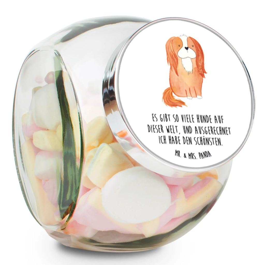 Candy Jar Dog Cavalier King Charles Spaniel dog, mutt, hound, woof, dog mama, dog breed, love dogs, love for dogs, dog decorative items, bag with dog print, funny gifts for dog owners, what do you give a dog lover, Christmas gifts for dogs, gifts for dogs, dog sayings, Cocker Spaniel, Sayings, most beautiful dog, Spaniel, Dog, Cavalier King Charles Spaniel