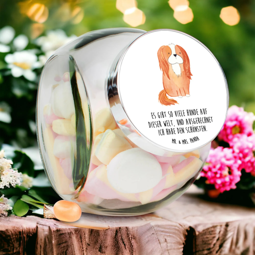 Candy Jar Dog Cavalier King Charles Spaniel dog, mutt, hound, woof, dog mama, dog breed, love dogs, love for dogs, dog decorative items, bag with dog print, funny gifts for dog owners, what do you give a dog lover, Christmas gifts for dogs, gifts for dogs, dog sayings, Cocker Spaniel, Sayings, most beautiful dog, Spaniel, Dog, Cavalier King Charles Spaniel