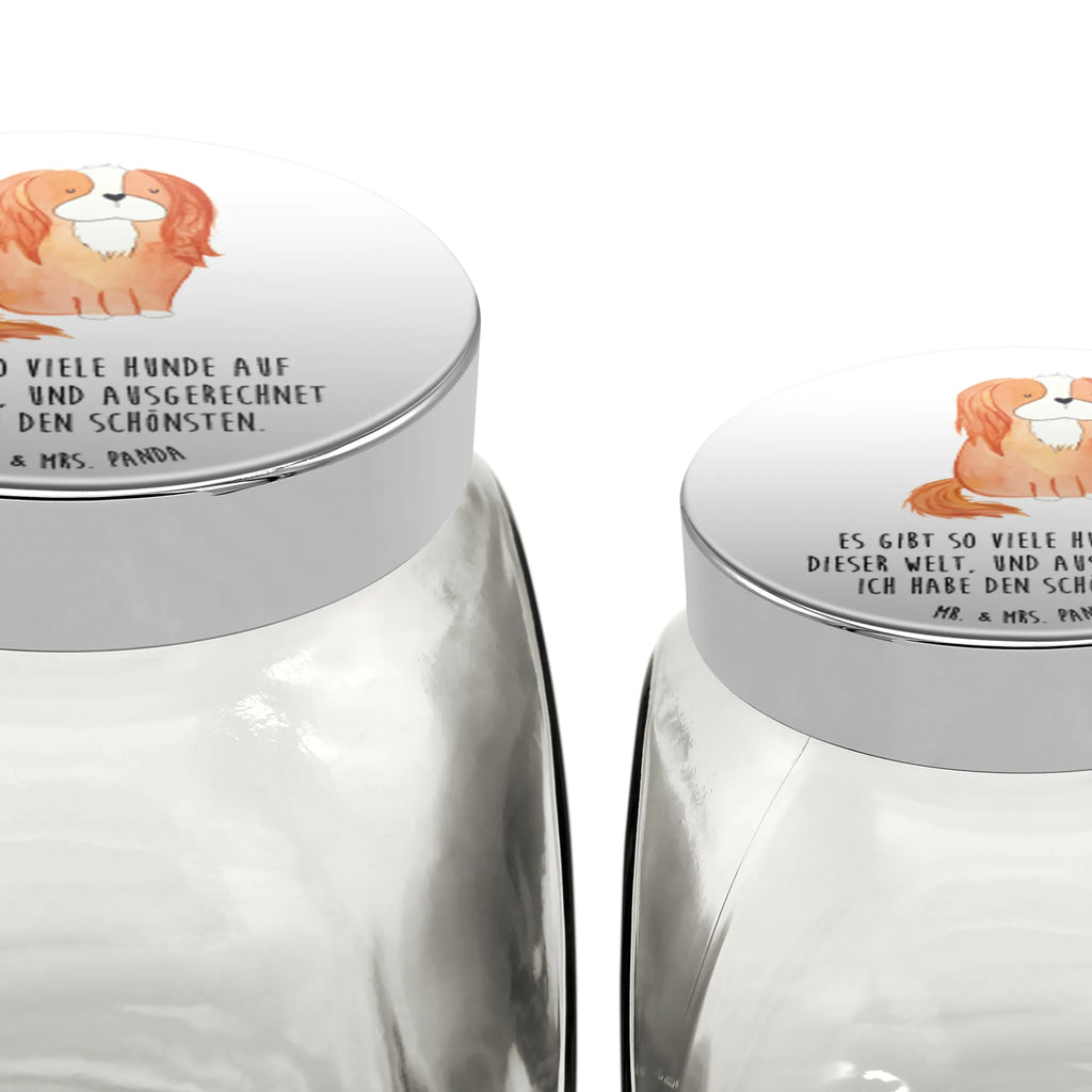 Candy Jar Dog Cavalier King Charles Spaniel dog, mutt, hound, woof, dog mama, dog breed, love dogs, love for dogs, dog decorative items, bag with dog print, funny gifts for dog owners, what do you give a dog lover, Christmas gifts for dogs, gifts for dogs, dog sayings, Cocker Spaniel, Sayings, most beautiful dog, Spaniel, Dog, Cavalier King Charles Spaniel