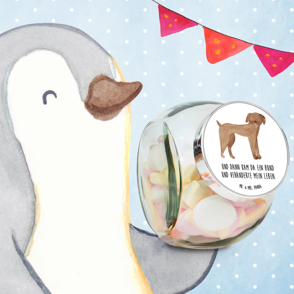 Słoik na cukierki pies Dog niemiecki gewürzglas, Naschdose, aufbewahrungsbehälter, schraubglas, lebensmittelbehälter glas, glas für kaffee, Vorratsglas, Glas Für Bonbons, glas für süßigkeiten, keksglas, glas mit verschluss, aufbewahrungsglas, glas für tee, Candyglas, Bonbonbehälter, Bonbonglas, Bonboniere, vorratsgläser, aufbewahrungsgläser, mehrzweckglas, glasbehälter, müsliglas, Süßigkeitenglas, keksdose glas, Naschglas, glasdosen, bonbongläser, Vorratsdose, Vorratsdose Glas, glas für müsli, Vorratsbehälter, glas für gewürze, Glasdose, glas mit deckel, süßigkeitengläser, Hunderasse, Sprüche, Hundebesitzer, Hund, Hundemotiv, Haustier, Tierliebhaber, Hunde, Deutsche Dogge, Dogge, Great Dane