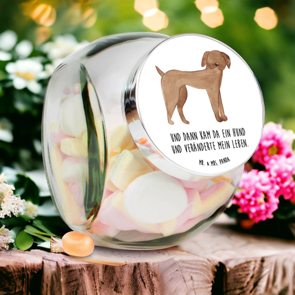 Słoik na cukierki pies Dog niemiecki gewürzglas, Naschdose, aufbewahrungsbehälter, schraubglas, lebensmittelbehälter glas, glas für kaffee, Vorratsglas, Glas Für Bonbons, glas für süßigkeiten, keksglas, glas mit verschluss, aufbewahrungsglas, glas für tee, Candyglas, Bonbonbehälter, Bonbonglas, Bonboniere, vorratsgläser, aufbewahrungsgläser, mehrzweckglas, glasbehälter, müsliglas, Süßigkeitenglas, keksdose glas, Naschglas, glasdosen, bonbongläser, Vorratsdose, Vorratsdose Glas, glas für müsli, Vorratsbehälter, glas für gewürze, Glasdose, glas mit deckel, süßigkeitengläser, Hunderasse, Sprüche, Hundebesitzer, Hund, Hundemotiv, Haustier, Tierliebhaber, Hunde, Deutsche Dogge, Dogge, Great Dane