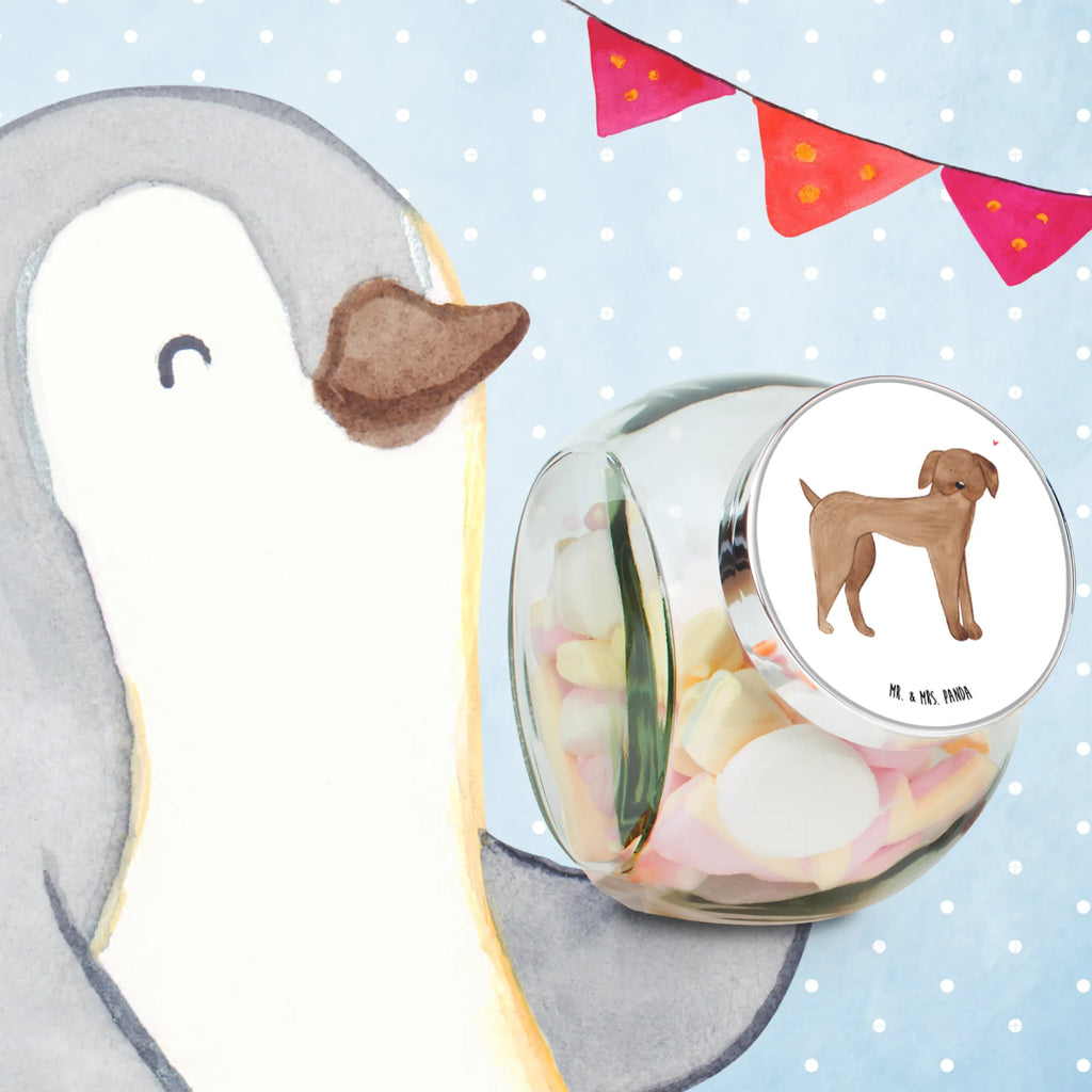 Słoik na cukierki pies Dog niemiecki gewürzglas, Naschdose, aufbewahrungsbehälter, schraubglas, lebensmittelbehälter glas, glas für kaffee, Vorratsglas, Glas Für Bonbons, glas für süßigkeiten, keksglas, glas mit verschluss, aufbewahrungsglas, glas für tee, Candyglas, Bonbonbehälter, Bonbonglas, Bonboniere, vorratsgläser, aufbewahrungsgläser, mehrzweckglas, glasbehälter, müsliglas, Süßigkeitenglas, keksdose glas, Naschglas, glasdosen, bonbongläser, Vorratsdose, Vorratsdose Glas, glas für müsli, Vorratsbehälter, glas für gewürze, Glasdose, glas mit deckel, süßigkeitengläser, Hunderasse, Sprüche, Hundebesitzer, Hund, Hundemotiv, Haustier, Tierliebhaber, Hunde, Deutsche Dogge, Dogge, Great Dane