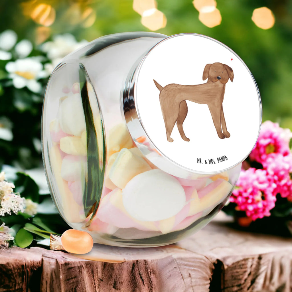 Słoik na cukierki pies Dog niemiecki gewürzglas, Naschdose, aufbewahrungsbehälter, schraubglas, lebensmittelbehälter glas, glas für kaffee, Vorratsglas, Glas Für Bonbons, glas für süßigkeiten, keksglas, glas mit verschluss, aufbewahrungsglas, glas für tee, Candyglas, Bonbonbehälter, Bonbonglas, Bonboniere, vorratsgläser, aufbewahrungsgläser, mehrzweckglas, glasbehälter, müsliglas, Süßigkeitenglas, keksdose glas, Naschglas, glasdosen, bonbongläser, Vorratsdose, Vorratsdose Glas, glas für müsli, Vorratsbehälter, glas für gewürze, Glasdose, glas mit deckel, süßigkeitengläser, Hunderasse, Sprüche, Hundebesitzer, Hund, Hundemotiv, Haustier, Tierliebhaber, Hunde, Deutsche Dogge, Dogge, Great Dane