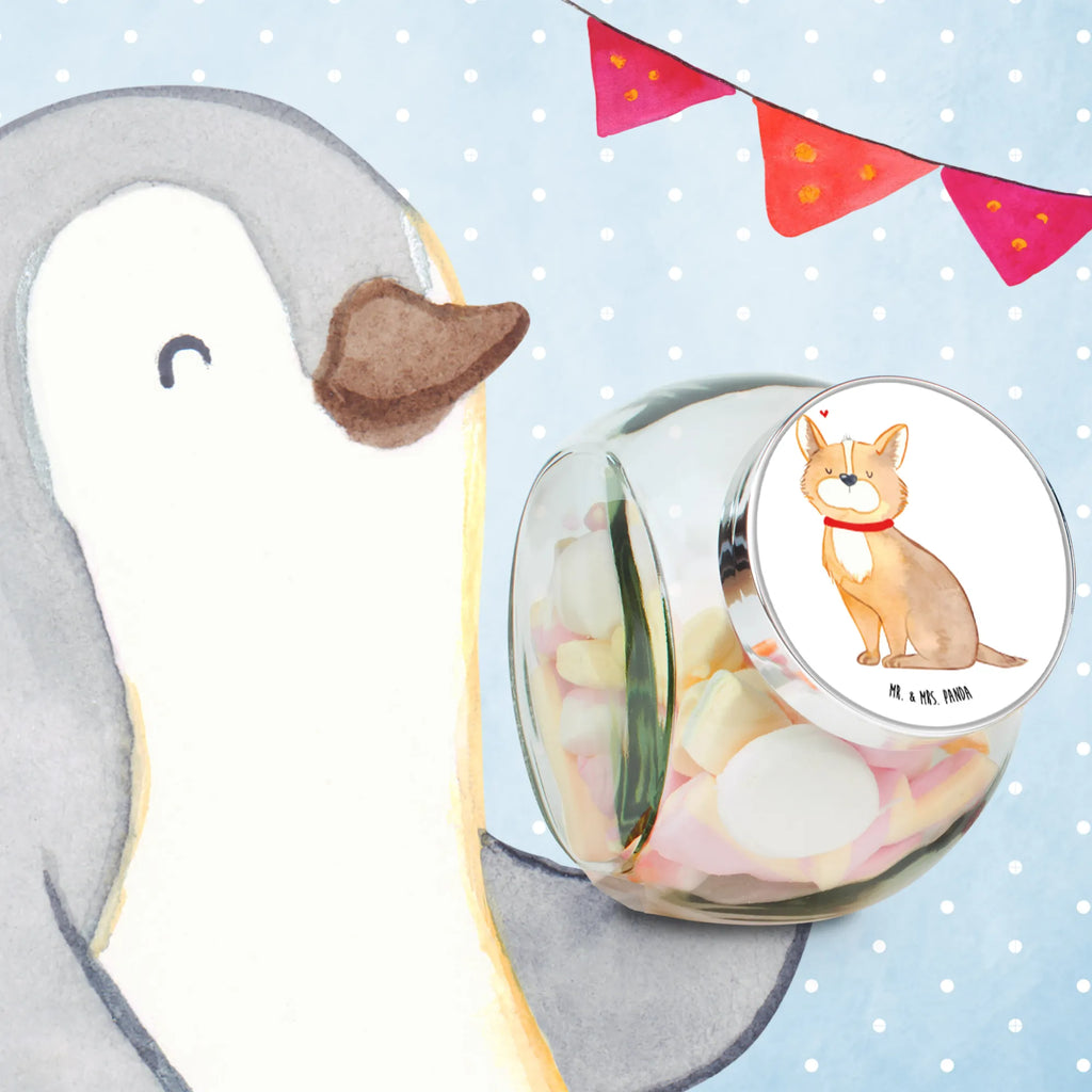 Candy Jar Dog Luck Süßigkeitenglas, mehrzweckglas, Bonboniere, vorratsgläser, glas für süßigkeiten, süßigkeitengläser, glas für tee, keksglas, Bonbonbehälter, glas für gewürze, glas für kaffee, Bonbonglas, glasdosen, aufbewahrungsglas, glas mit deckel, Glasdose, Glas Für Bonbons, Vorratsdose Glas, lebensmittelbehälter glas, gewürzglas, Vorratsglas, glas für müsli, glasbehälter, aufbewahrungsbehälter, Candyglas, Naschglas, Naschdose, Vorratsdose, Vorratsbehälter, aufbewahrungsgläser, schraubglas, müsliglas, keksdose glas, bonbongläser, glas mit verschluss, Hunderasse, Sprüche, Hundebesitzer, Hund, Hundemotiv, Haustier, Tierliebhaber, Hundemama, Hundeliebe, Spruch, Liebe, Corgie