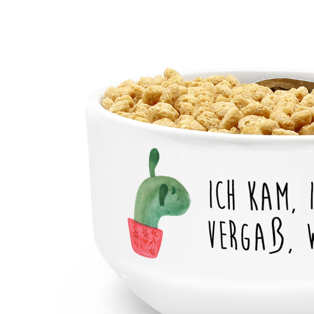 miska na musli kaktus Mama Kaktus, Kaktusy