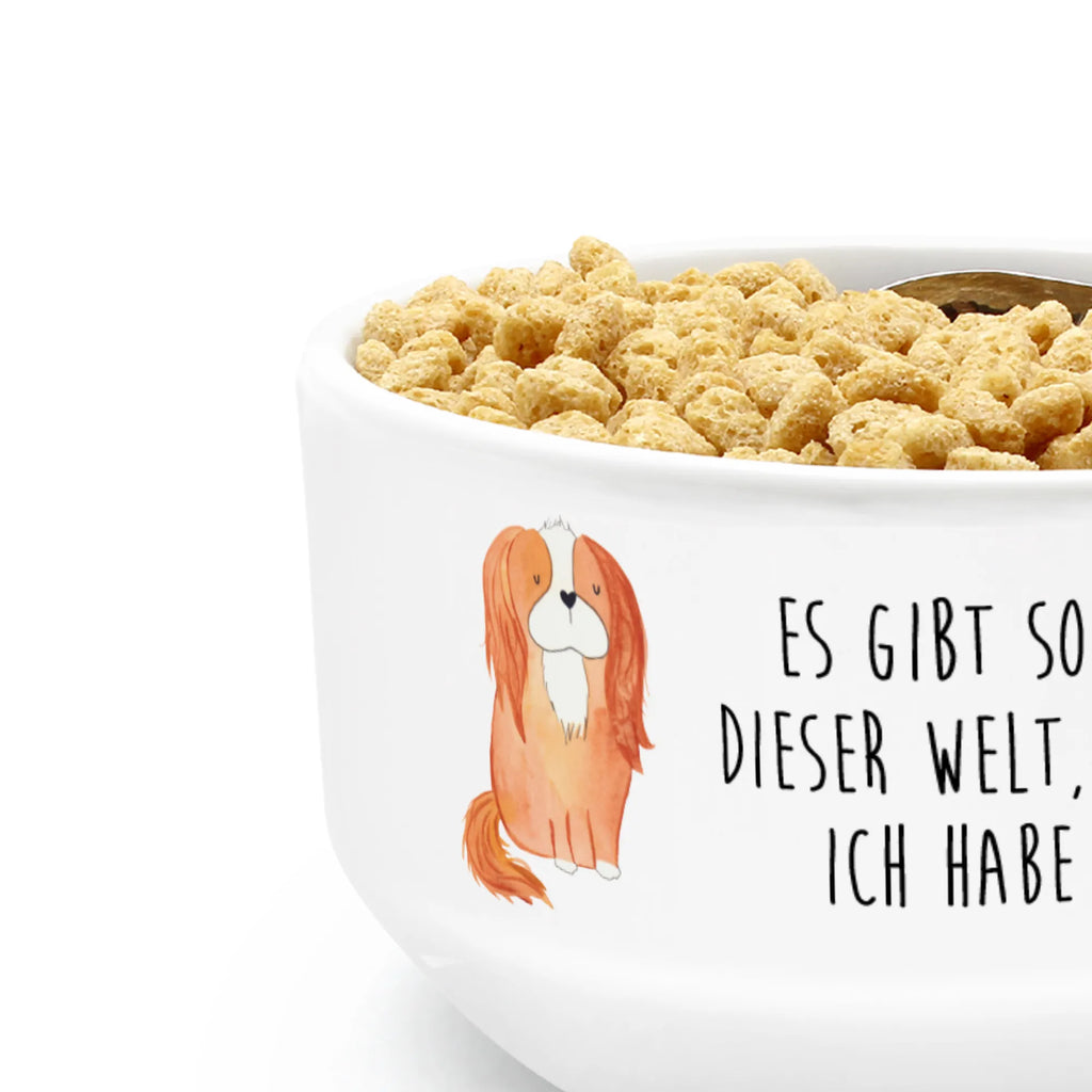 Müslischale Cavalier King Charles Spaniel Suppenschüssel, Müsli Schalen, Müslischale, puddingschale, müslibowl, suppenschale, salatschälchen, Müslischüssel, beilagenschüssel, Frühstücksschüssel, dessertschale, Müsli Schale, frühstücksbowl, frühstücksschale, Frühstücksschalen, suppenbowl, Früstücksschüssel, beilagenschale, Sprüche, Hund, Hunderasse, Hundebesitzer, Hundemotiv, Haustier, Tierliebhaber, Cockerspaniel, Spaniel, Schönster Hund, Spruch, Cavalier King Charles Spaniel