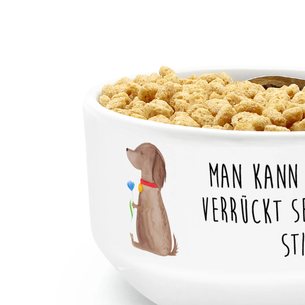 miska na musli pies kwiat Pies, motyw psa, zwierzę domowe, rasa psa, miłośnik zwierząt, właściciel psa, powiedzenia